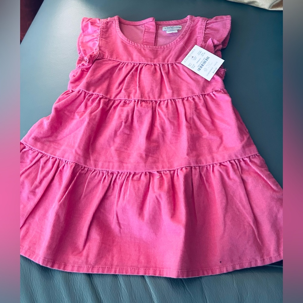 J Crew Crewcuts Dress Size 12-18 Mos Flutter Tiered NEW